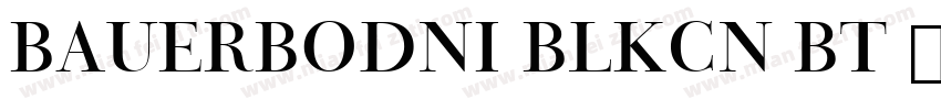 BauerBodni BlkCn BT 普通 (西方)字体转换